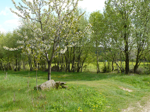 Foto 15